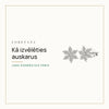 Kā izvēlēties auskarus — Jums piemērotais pāris · Loretana